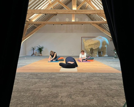 yogazolder -  photo by terre du nord