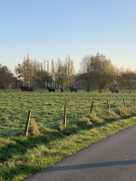 Persoonlijk leiderschap